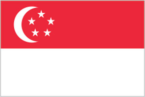 Singapore Telecommunications Company Case Study